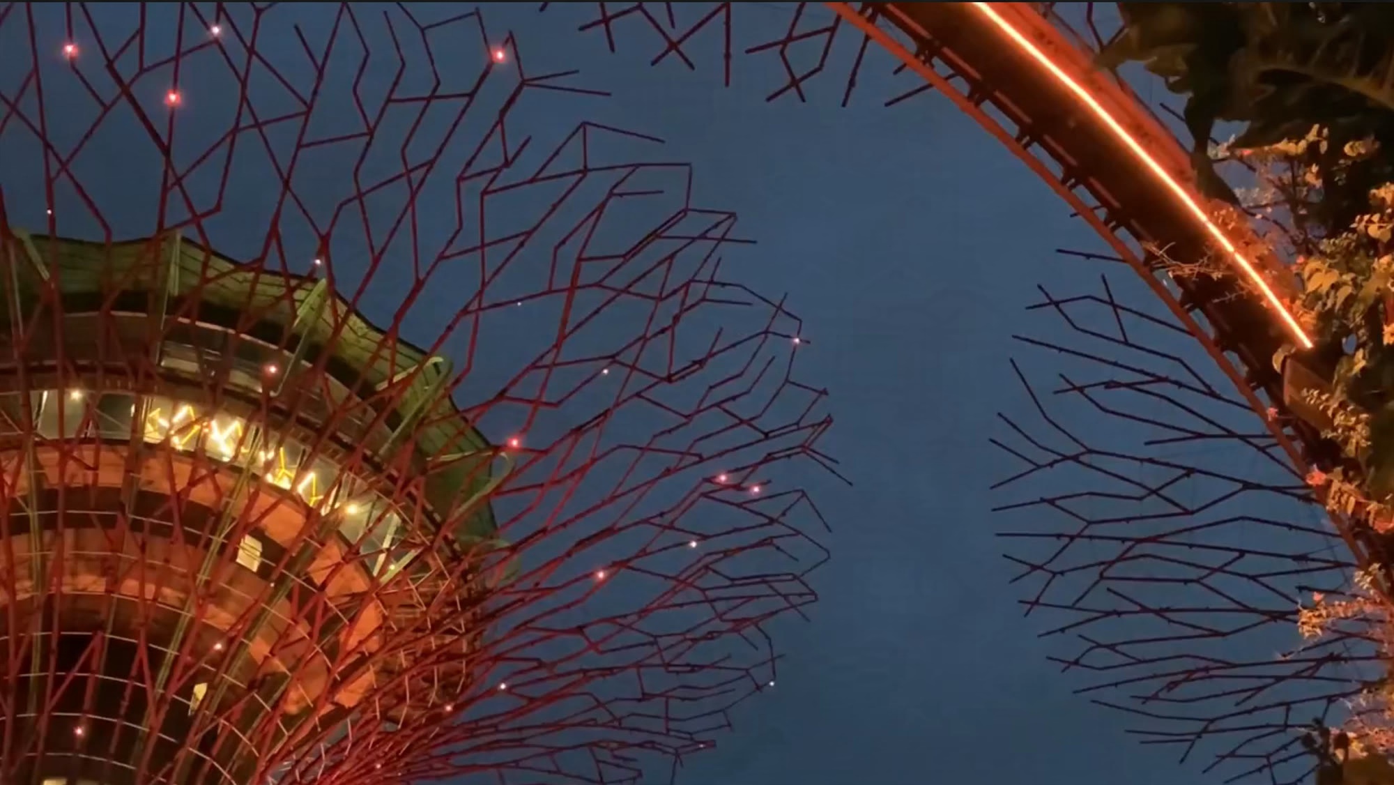 The frame the agent found: a supertree lit red against the blue hour sky.